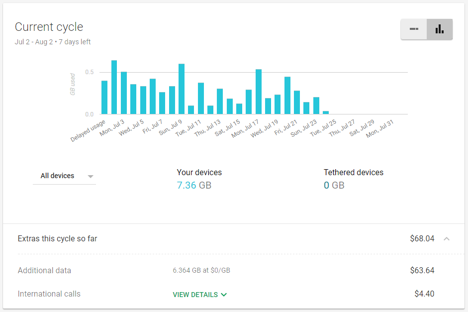 Project Fi Current cycle