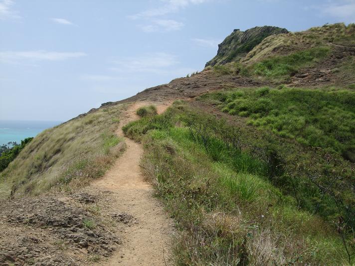 The Pillbox Hike