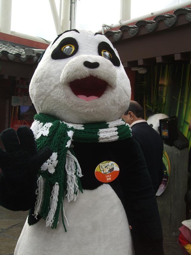 Giant Panda Le Le Fake